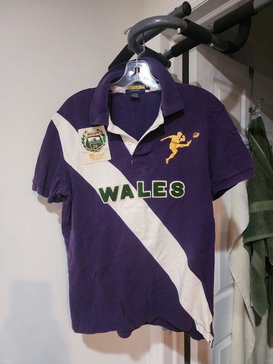 Ralph Lauren Other - Ralph Lauren Purple Polo with White Diagonal Stripe and Green WALES. S-M